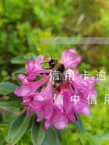 信用卡逾期征信不良記錄多長時間消除-征信中信用卡逾期多久可以不算