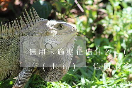 信用卡逾期,征信什么時(shí)候可以恢復(fù)-信用卡逾期,征信什么時(shí)候可以恢復(fù)正常