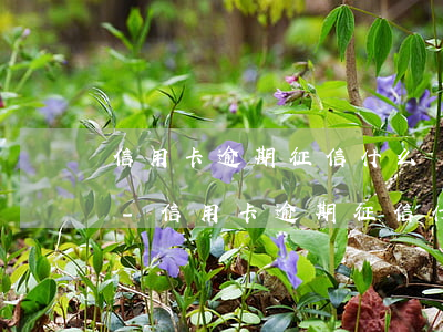 信用卡逾期，征信什么時候可以恢復(fù)-信用卡逾期,征信什么時候可以恢復(fù)正常