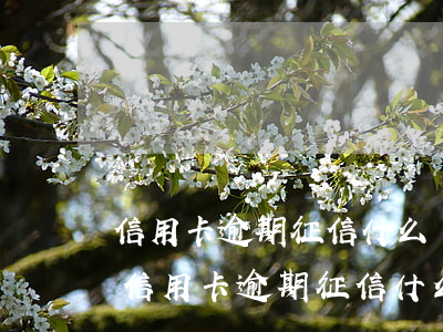 信用卡逾期征信什么時候能恢復(fù)-信用卡逾期征信什么時候能恢復(fù)正常