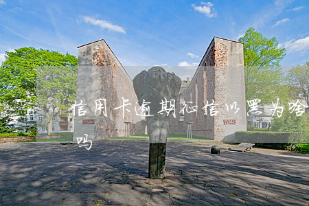 信用卡逾期征信以黑为啥不抓(逾期征信会黑吗)