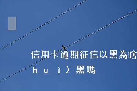 信用卡逾期征信以黑為啥不抓(逾期征信會(huì)黑嗎)