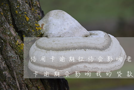信用卡逾期征信会影响老婆吗-老婆有信用卡逾期会影响我的贷款吗