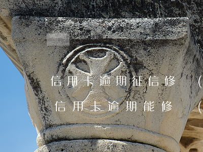 信用卡逾期征信修復(fù)行業(yè)(信用卡逾期能修復(fù)征信嗎)