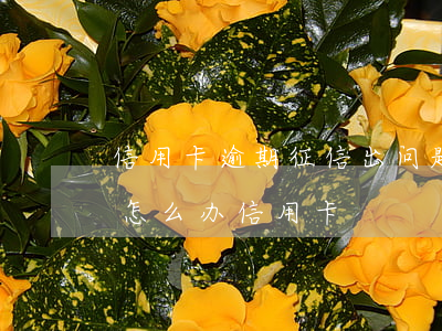 信用卡逾期征信出问题怎么办(征信严重逾期怎么办信用卡)