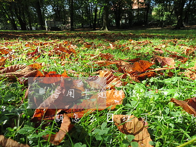 信用卡逾期征信可以消掉嗎(征信有信用卡逾期怎么處理可以消除)