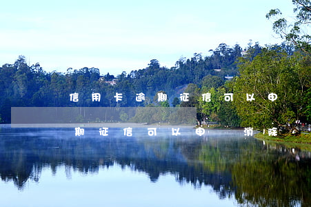 信用卡逾期征信可以申請消除嗎-信用卡逾期征信可以申請消除嗎怎么辦