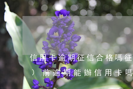 信用卡逾期征信合格嗎 征信有當(dāng)前逾期能辦信用卡嗎