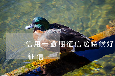 信用卡逾期征信啥時候好-一般逾期好久上征信