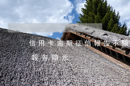 信用卡逾期征信報告不顯示-征信逾期征信報告顯示