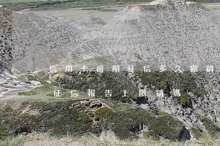 信用卡逾期征信多久撤銷(信用卡逾期可以在征信報告上撤銷嗎)