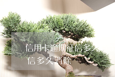 信用卡逾期征信多久消除(信用卡逾期半年征信多久消除)