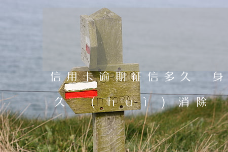 信用卡逾期征信多久終身不消(征信不逾期多久會(huì)消除)