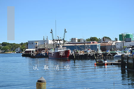 信用卡逾期征信多久能取消(逾期征信银行可以取消吗)