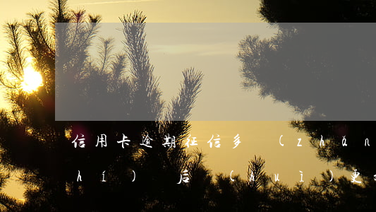 信用卡逾期征信多長(zhǎng)時(shí)間后會(huì)更新-信用卡逾期征信多長(zhǎng)時(shí)間后會(huì)更新一次