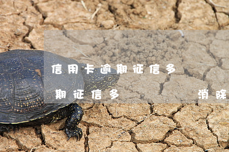 信用卡逾期征信多長時間會消除-信用卡逾期征信多長時間會消除記錄