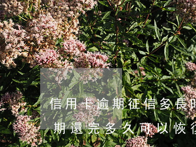 信用卡逾期征信多長時間能恢復-銀行卡逾期還完多久可以恢復征信