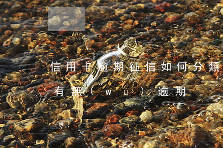信用卡逾期征信如何分類顯示(怎么看信用卡有無(wú)逾期)