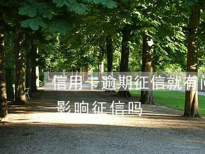 信用卡逾期征信就有问题(有一个信用卡逾期影响征信吗)