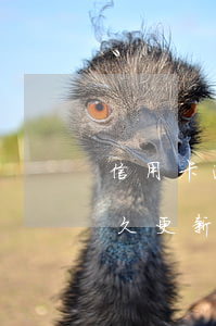 信用卡逾期征信幾年刷新(信用卡欠款征信多久更新一次)