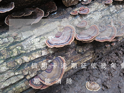 信用卡逾期征信幾年會消掉(多年前信用卡逾期能消除)