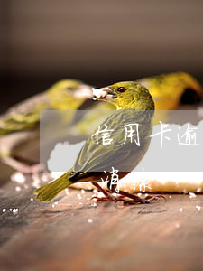 信用卡逾期征信幾年消除(逾期上征信幾年能消除)