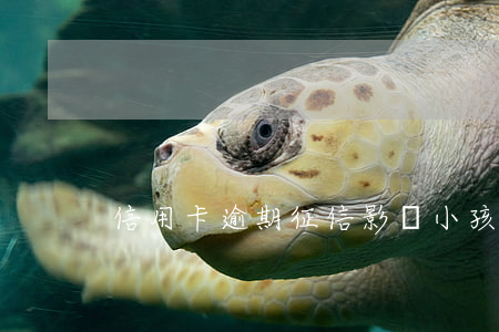 信用卡逾期征信影響小孩