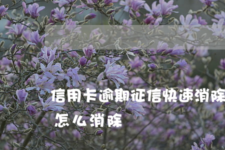 信用卡逾期征信快速消除(銀行卡逾期上征信怎么消除)