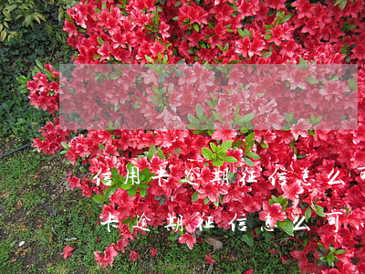 信用卡逾期征信怎么可以復(fù)議(信用卡逾期征信怎么可以復(fù)議)