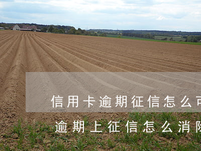 信用卡逾期征信怎么可以消除(因信用卡年費逾期上征信怎么消除)