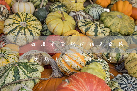 信用卡逾期征信怎么恢復(fù)(征信嚴重逾期怎么辦信用卡)