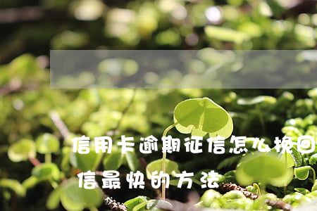 信用卡逾期征信怎么挽回-恢復(fù)征信最快的方法