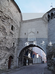 信用卡逾期征信怎么看(信用卡逾期征信怎么看結(jié)果)