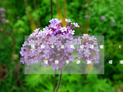 信用卡逾期征信恢復(fù)時(shí)間(信用卡逾期過征信多久會(huì)恢復(fù)過來)