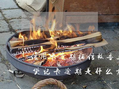 信用卡逾期征信报告上进入是什么(征信报告贷记卡逾期是什么意思)