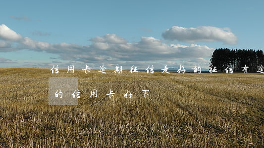 信用卡逾期征信是好的(征信有逾期哪个银行的信用卡好下)
