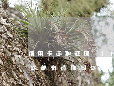 信用卡逾期征信會(huì)一直有嗎(征信以前有逾期可以申請(qǐng)信用卡嗎)