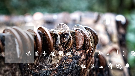 信用卡逾期征信會(huì)影響子女上學(xué)嗎(征信上有逾期會(huì)影響子女上學(xué)嗎?)