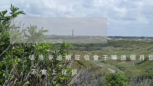 信用卡逾期征信會干嘛(這個月信用卡逾期會不會上征信)