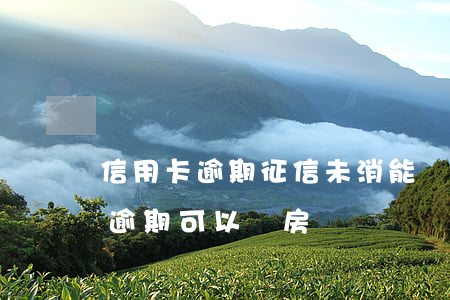 信用卡逾期征信未消能辦房貸嗎(信用貸沒有逾期可以辦房貸嗎)