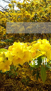 信用卡逾期征信查的到嗎