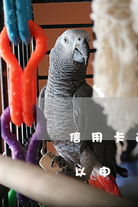 信用卡逾期征信沒有記錄(征信有逾期記錄可以申請信用卡嗎)