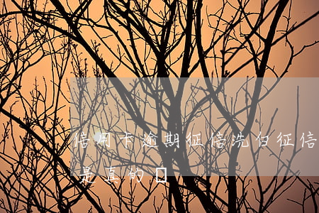 信用卡逾期征信洗白(征信報告逾期怎么洗白是真的嗎)