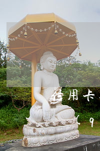 信用卡逾期征信申訴流程-征信逾期怎么申請(qǐng)信用卡