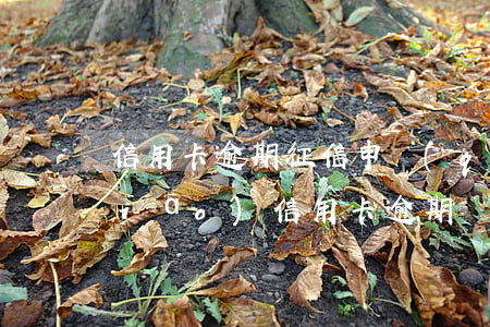 信用卡逾期征信申請(qǐng)撤銷(xiāo)(信用卡逾期還清銷(xiāo)卡征信能恢復(fù)嗎)