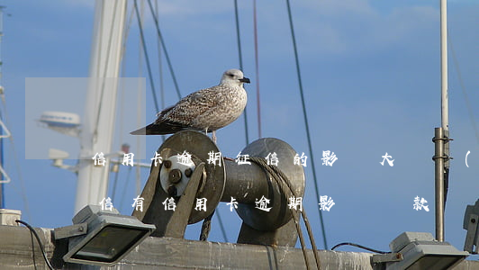 信用卡逾期征信的影響大嗎(個(gè)人征信有信用卡逾期影響貸款嗎)