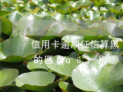 信用卡逾期征信算黑了嗎(征信逾期和征信黑的區(qū)別)