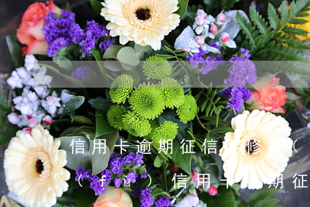 信用卡逾期征信能修復(fù)嘛(如何恢復(fù)信用卡逾期征信)