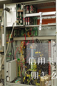 信用卡逾期征信處理(征信嚴(yán)重逾期怎么辦信用卡)