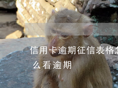 信用卡逾期征信表格怎么顯示 個人征信表怎么看逾期